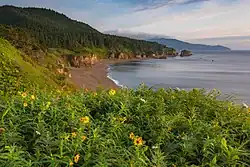 Velikan Cape, Sakhalin