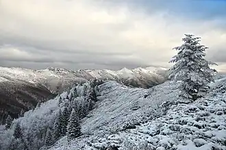 Kozya Stena Reserve from Tsarichina