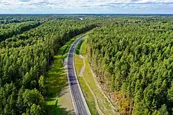 The road passes through a forest near Priozersk.