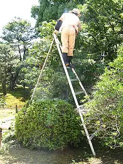 A gardener wearing jika-tabi