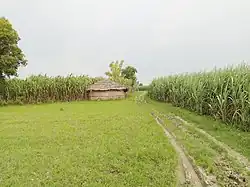 Roadside view in (Dehar) Bhudia