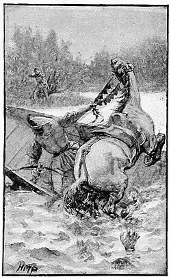 The horse neighed and upset the ferry.