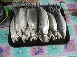 Silver fish piled on a tray
