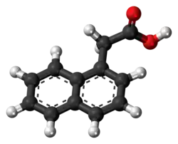 1-Naphthaleneacetic acid molecule