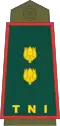 Lieutenant Colonel