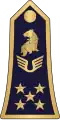 Général d'armée aérienne (Cameroon Air Force)