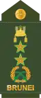 Mejar jeneral (Royal Brunei Land Force)[16]