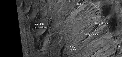 Close view of crater labeled with "spatulate depression" and other features, as seen by HiRISE. Note: this is an enlargement of the previous image.[38]