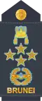 Jeneral (Udara) (Royal Brunei Air Force)