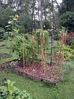 Oakhurst Community Garden, Atlanta GA, 2010