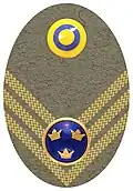Hat badge (Mössmärke m/1946) for a captain in the army