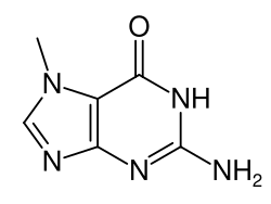 Chemical structure of 7-methylguanine