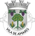 Coat of arms of Town of Amares
