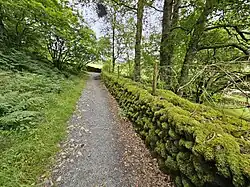 A mossy stone wall on Precipice Walk of Nannau