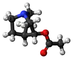 Ball-and-stick model of the aceclidine molecule
