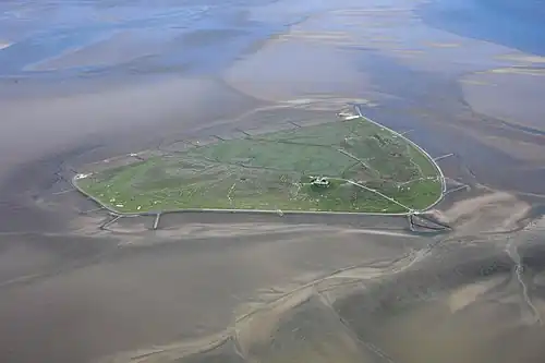 Hallig Süderoog at low tide