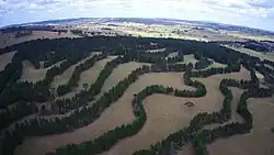 Image 27Contour planting integrated with animal grazing on Taylor's Run farm, Australia (from Agroforestry)
