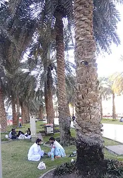 Al Muteena Park in Al Muteena