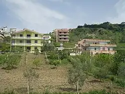 Houses in Rrashbull