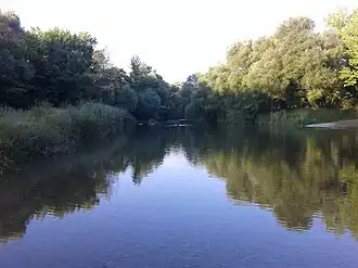 A stretch of the upper Alpheios