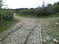 Chariot ruts in the Via Domitia