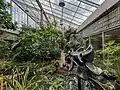 Conservatory inside the gallery