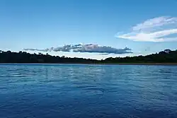 Broad river flowing through lush rainforest