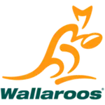 Shirt badge/Association crest