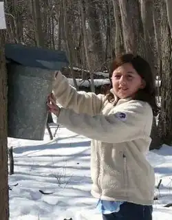 A young girl in a white fleece jacket in a forest collecting maple sap in a bucket