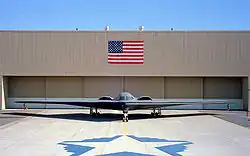 Front view of tailless aircraft parked in front of building. On the building face is a blue and red rectangular flag. A star-shaped artwork is on the taxiway in front of aircraft.