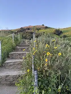 Staircase, looking south/up (2024)