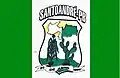 Flag of Santo André