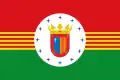 Flag of Sabiñánigo