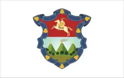 Flag of Guatemala City