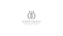 Gómez Palacio (government flag) [3]