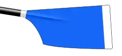 Image showing the rowing club's blade colours