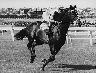 Beau Vite, 1940 and 1941 winner