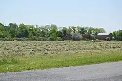 Hay field on Benschoter Road