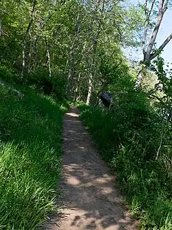 B trail, Potomac River on the right