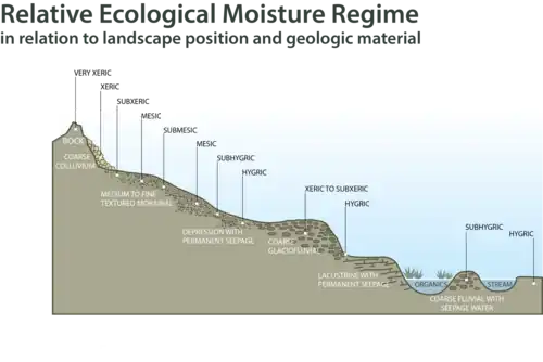 Landscape profile showing soil moisture regime categories along a gradient from rock hilltop to valley bottom