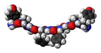 Space-filling model of Biphalin