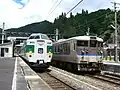 An express train headed to Okayama Station, and another headed to Yonago Station