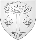 Coat of arms of Fayet