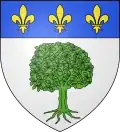 Coat of arms of Montréjeau