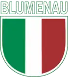 Logo: Blumenau EC