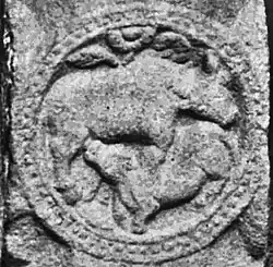 Cow nourishing her calf