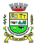 Official seal of Almirante Tamandaré do Sul