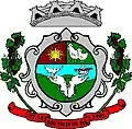 Coat of arms of Boa Vista do Sul