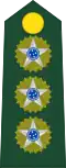 Colonel