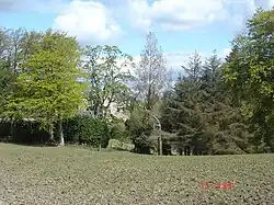 Bridge Castle seen through trees